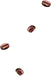 beans