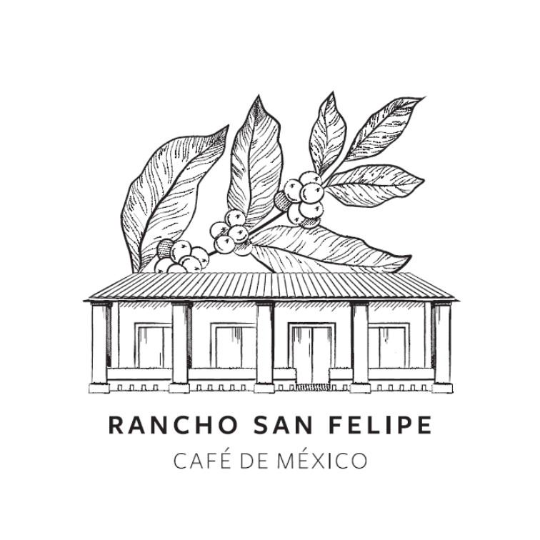 CAFETALERA SAN FELIPE CAFETALERA SAN FELIPE