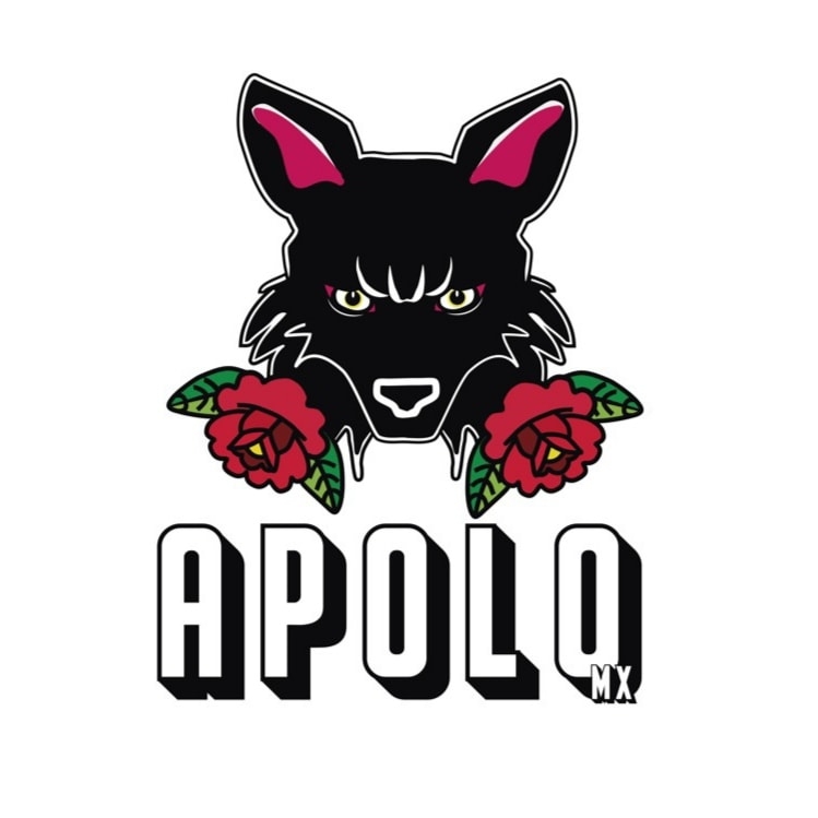 APOLO APOLO