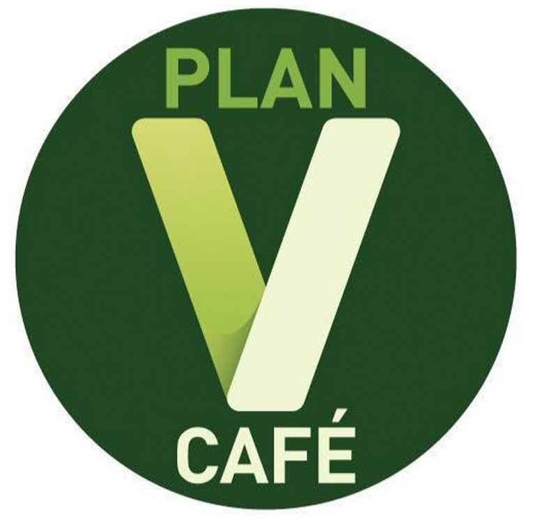 PLAN V PLAN V